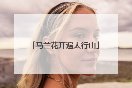 马兰花开遍太行山