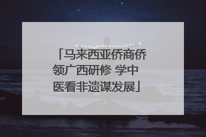 马来西亚侨商侨领广西研修 学中医看非遗谋发展