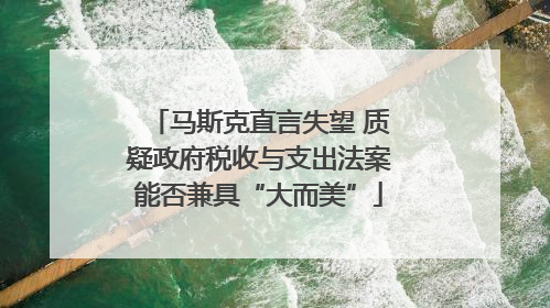 马斯克直言失望 质疑政府税收与支出法案能否兼具“大而美”
