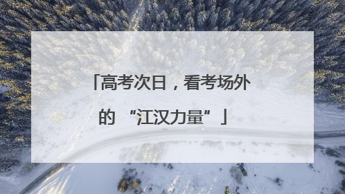 高考次日，看考场外的 “江汉力量”