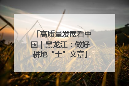 高质量发展看中国｜黑龙江：做好耕地“土”文章
