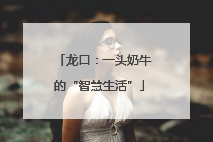 龙口：一头奶牛的“智慧生活”
