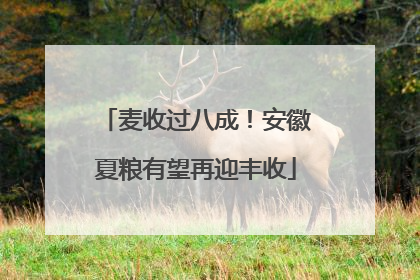 麦收过八成！安徽夏粮有望再迎丰收