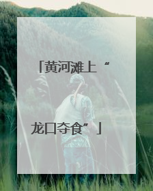 黄河滩上“龙口夺食”