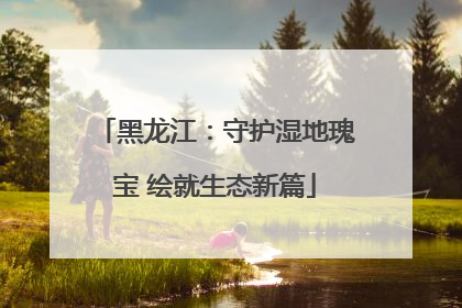 黑龙江：守护湿地瑰宝 绘就生态新篇