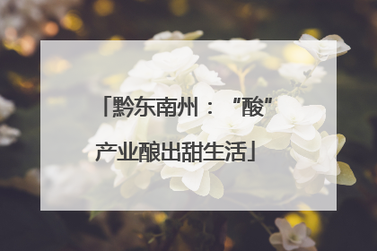 黔东南州：“酸”产业酿出甜生活