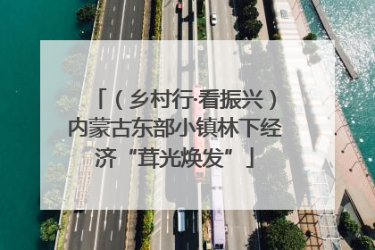 （乡村行·看振兴）内蒙古东部小镇林下经济“茸光焕发”