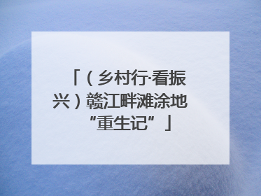 （乡村行·看振兴）赣江畔滩涂地“重生记”