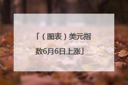（图表）美元指数6月6日上涨