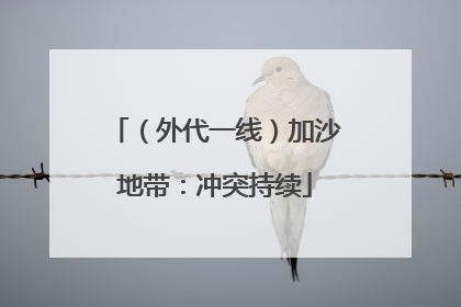 （外代一线）加沙地带：冲突持续