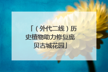 （外代二线）历史植物助力修复庞贝古城花园