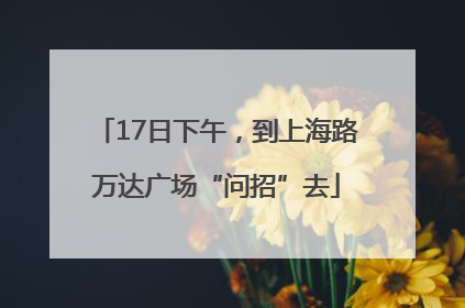 17日下午，到上海路万达广场“问招”去