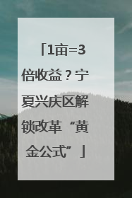 1亩=3倍收益？宁夏兴庆区解锁改革“黄金公式”
