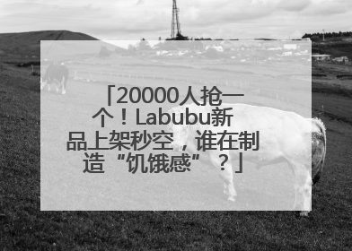 20000人抢一个！Labubu新品上架秒空，谁在制造“饥饿感”？