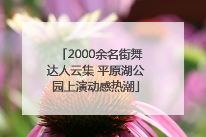 2000余名街舞达人云集 平原湖公园上演动感热潮