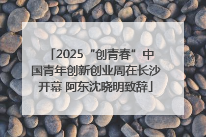 2025“创青春”中国青年创新创业周在长沙开幕 阿东沈晓明致辞