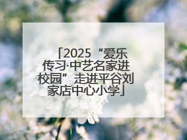 2025“爱乐传习·中艺名家进校园”走进平谷刘家店中心小学