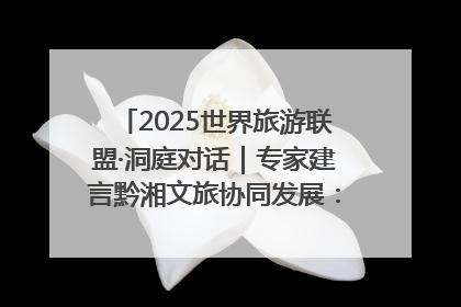 2025世界旅游联盟·洞庭对话｜专家建言黔湘文旅协同发展：聚焦产品稀缺性 深化区域经验共享