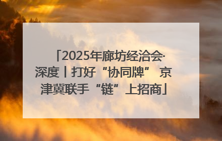 2025年廊坊经洽会·深度丨打好“协同牌” 京津冀联手“链”上招商