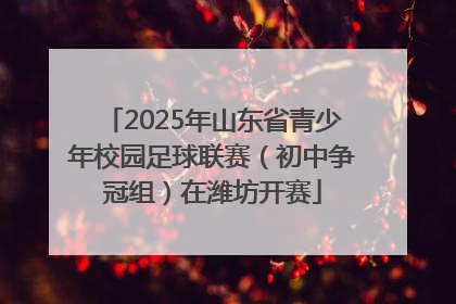 2025年山东省青少年校园足球联赛（初中争冠组）在潍坊开赛