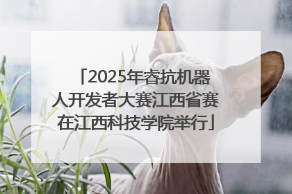 2025年睿抗机器人开发者大赛江西省赛在江西科技学院举行
