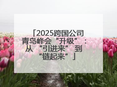 2025跨国公司青岛峰会“升级”：从 “引进来” 到 “链起来”