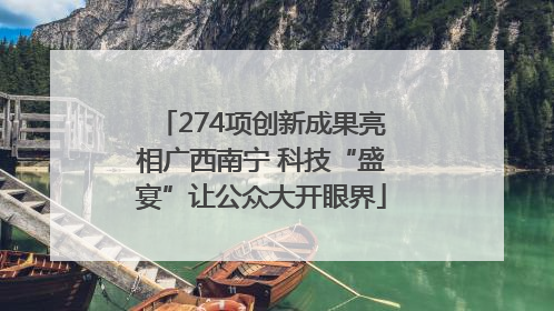 274项创新成果亮相广西南宁 科技“盛宴”让公众大开眼界