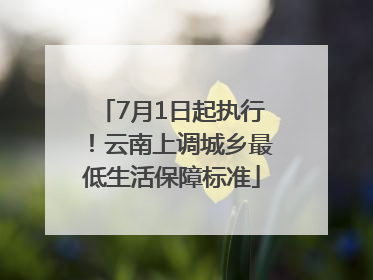 7月1日起执行！云南上调城乡最低生活保障标准