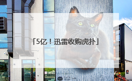 5亿！迅雷收购虎扑
