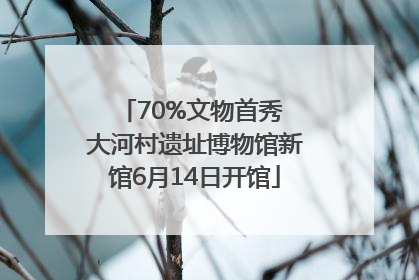 70%文物首秀 大河村遗址博物馆新馆6月14日开馆