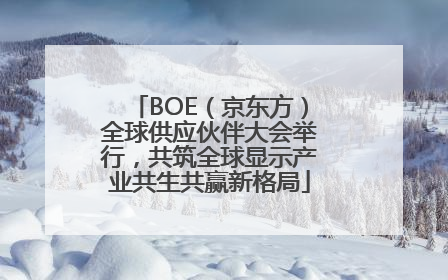 BOE（京东方）全球供应伙伴大会举行，共筑全球显示产业共生共赢新格局