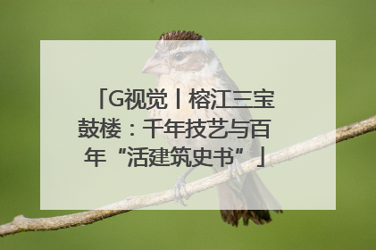 G视觉丨榕江三宝鼓楼:千年技艺与百年“活建筑史书”