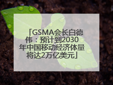 GSMA会长白德伟：预计到2030年中国移动经济体量将达2万亿美元