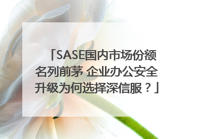 SASE国内市场份额名列前茅 企业办公安全升级为何选择深信服？